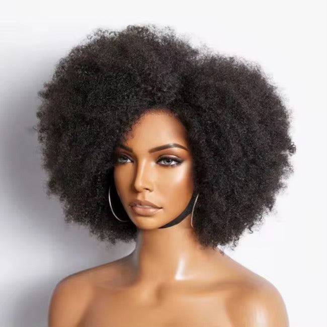 Natural Virgin Brazilian 4C Afro Curly Kinky HD Lace Front Wig – Pre-Plucked with Baby Hair