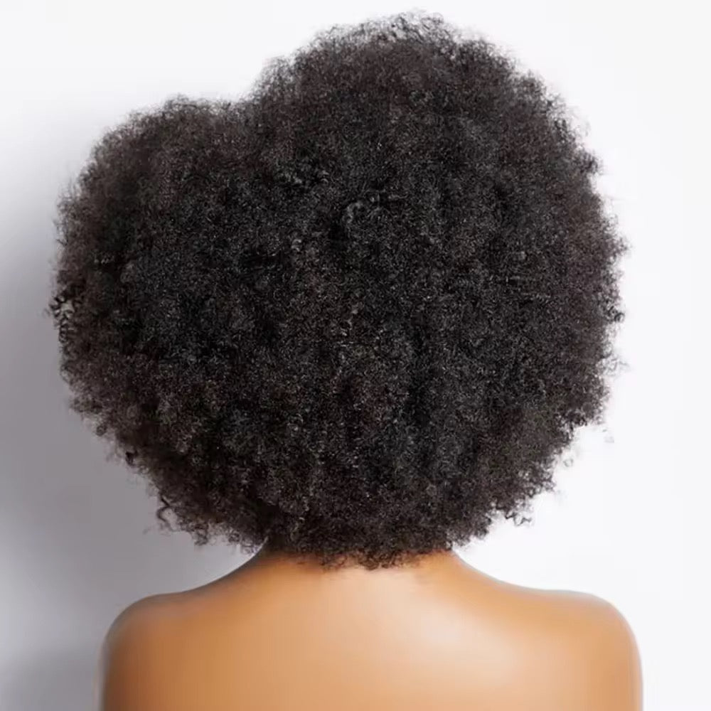 Natural Virgin Brazilian 4C Afro Curly Kinky HD Lace Front Wig – Pre-Plucked with Baby Hair
