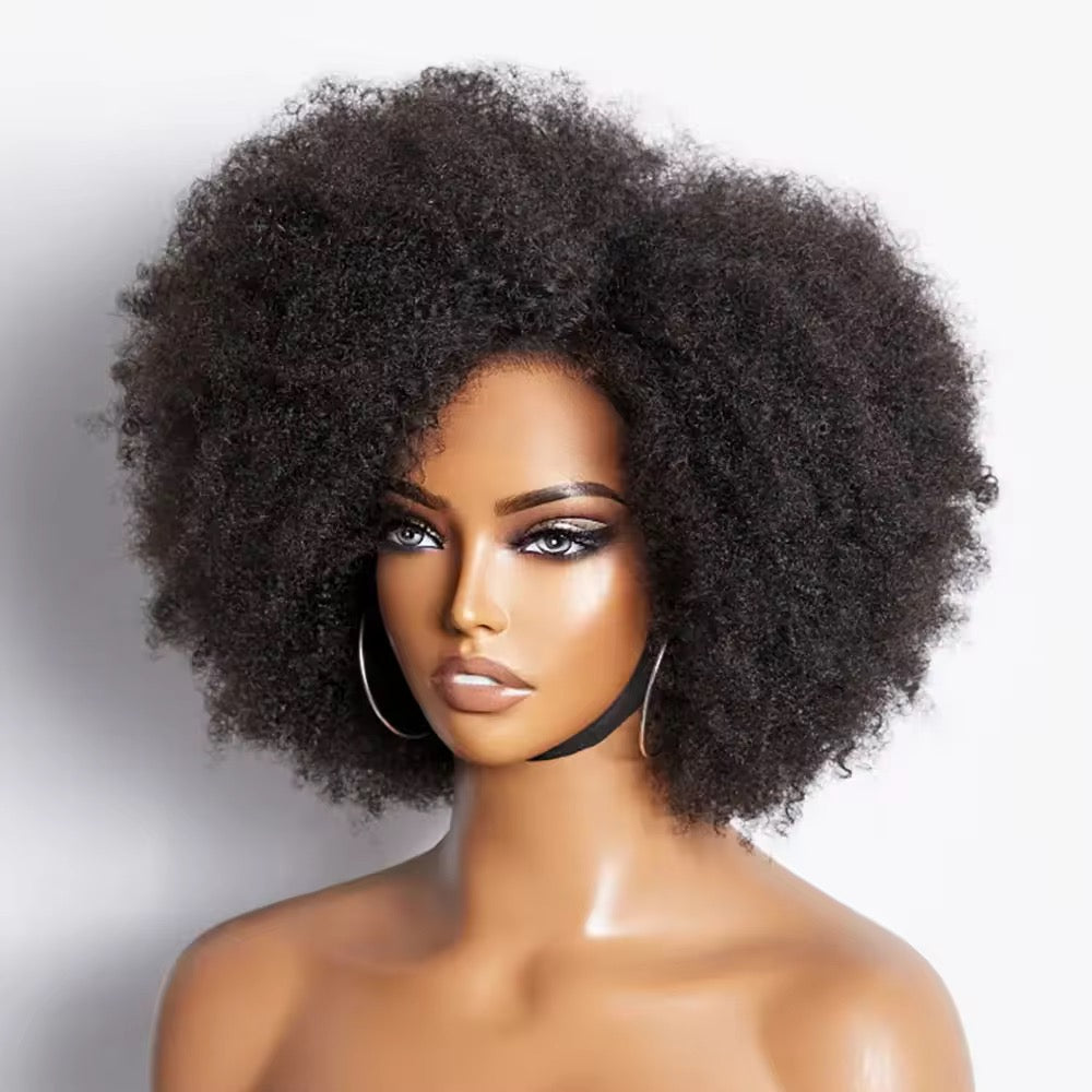 Natural Virgin Brazilian 4C Afro Curly Kinky HD Lace Front Wig – Pre-Plucked with Baby Hair
