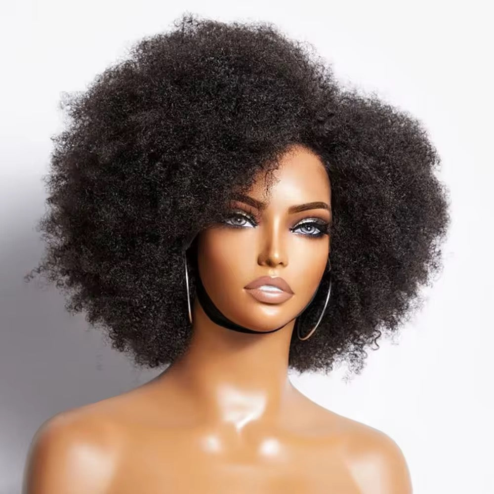 Natural Virgin Brazilian 4C Afro Curly Kinky HD Lace Front Wig – Pre-Plucked with Baby Hair